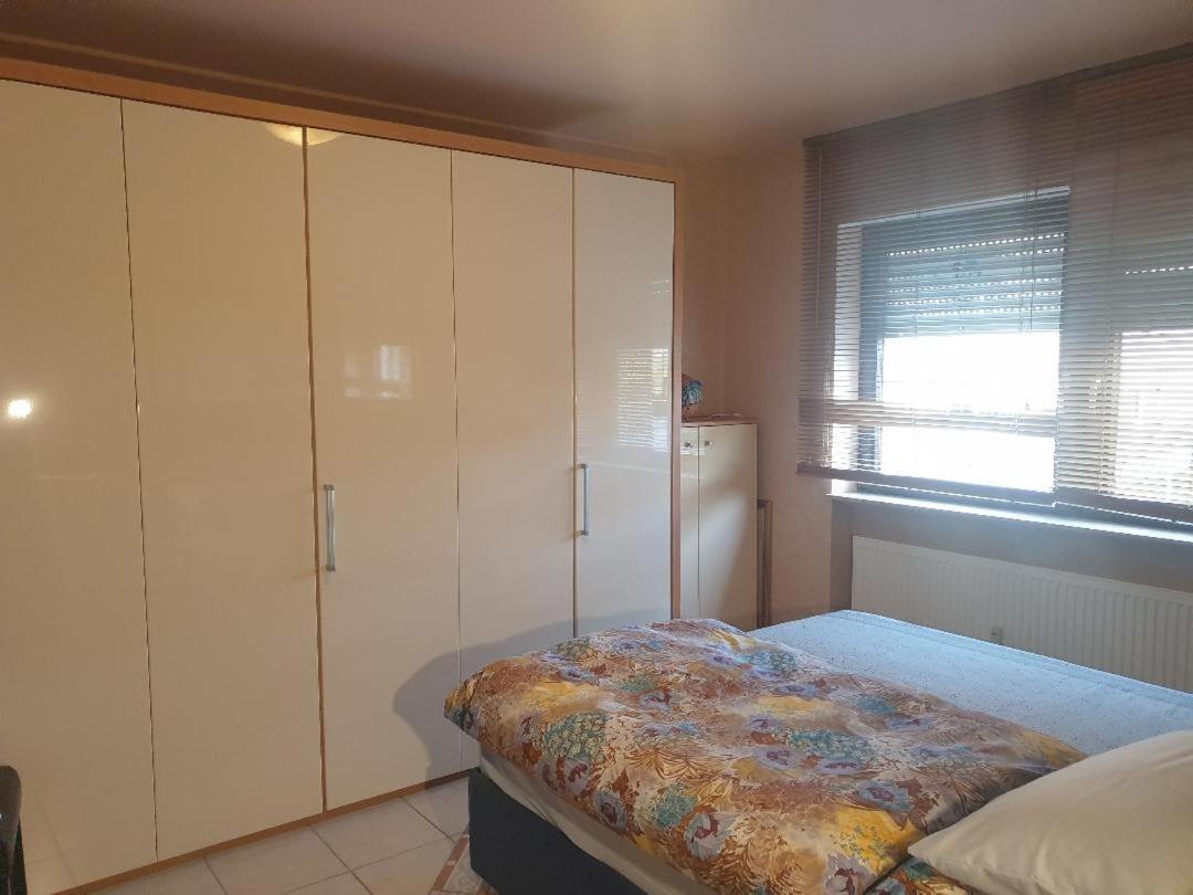Rose'S Ferienwohnung Freigericht Ngoại thất bức ảnh